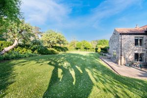 Photo 42- click for photo gallery